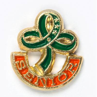 image 1: Senior Pin